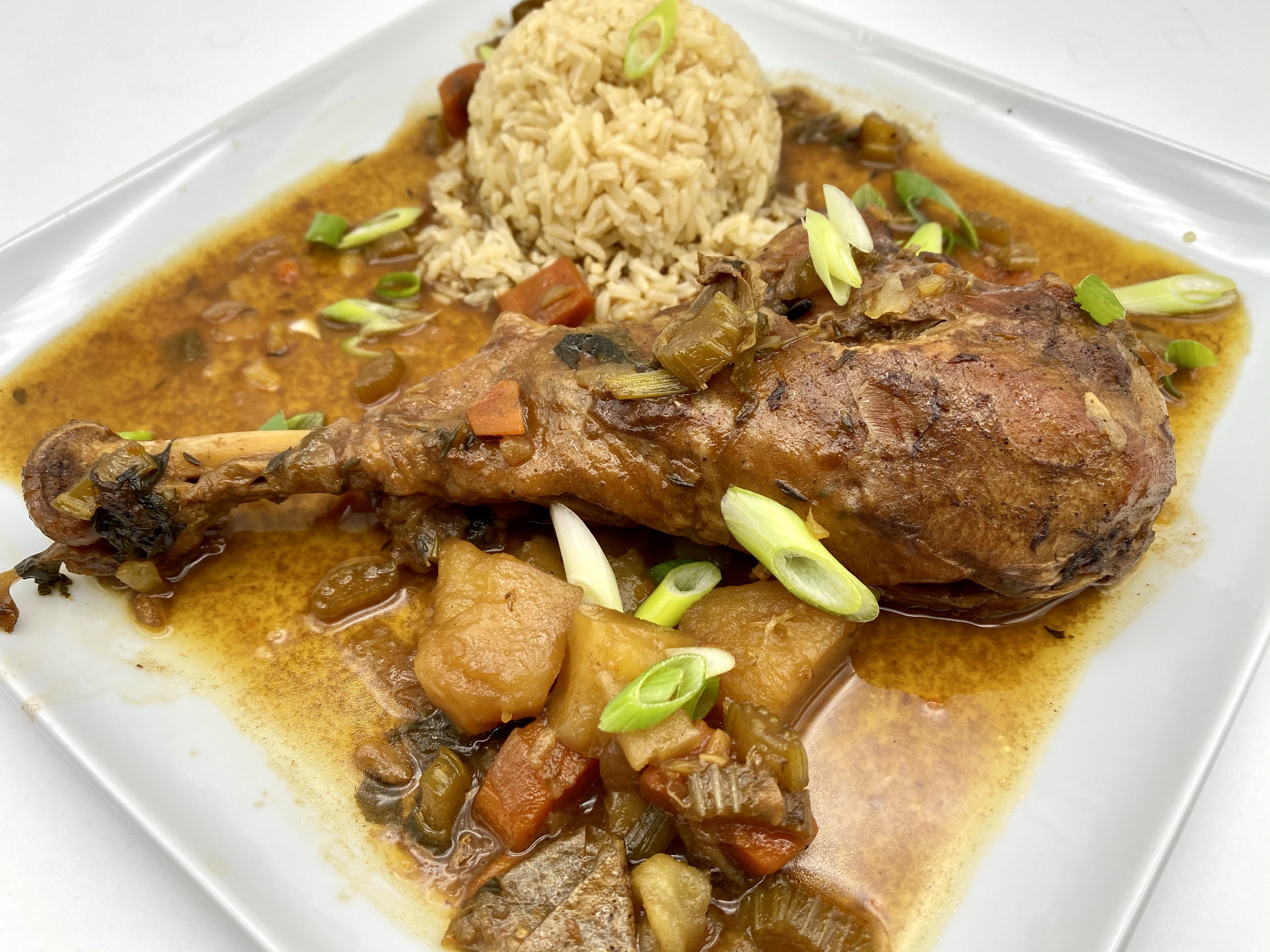 Brown Turkey Stew | Slow Braised