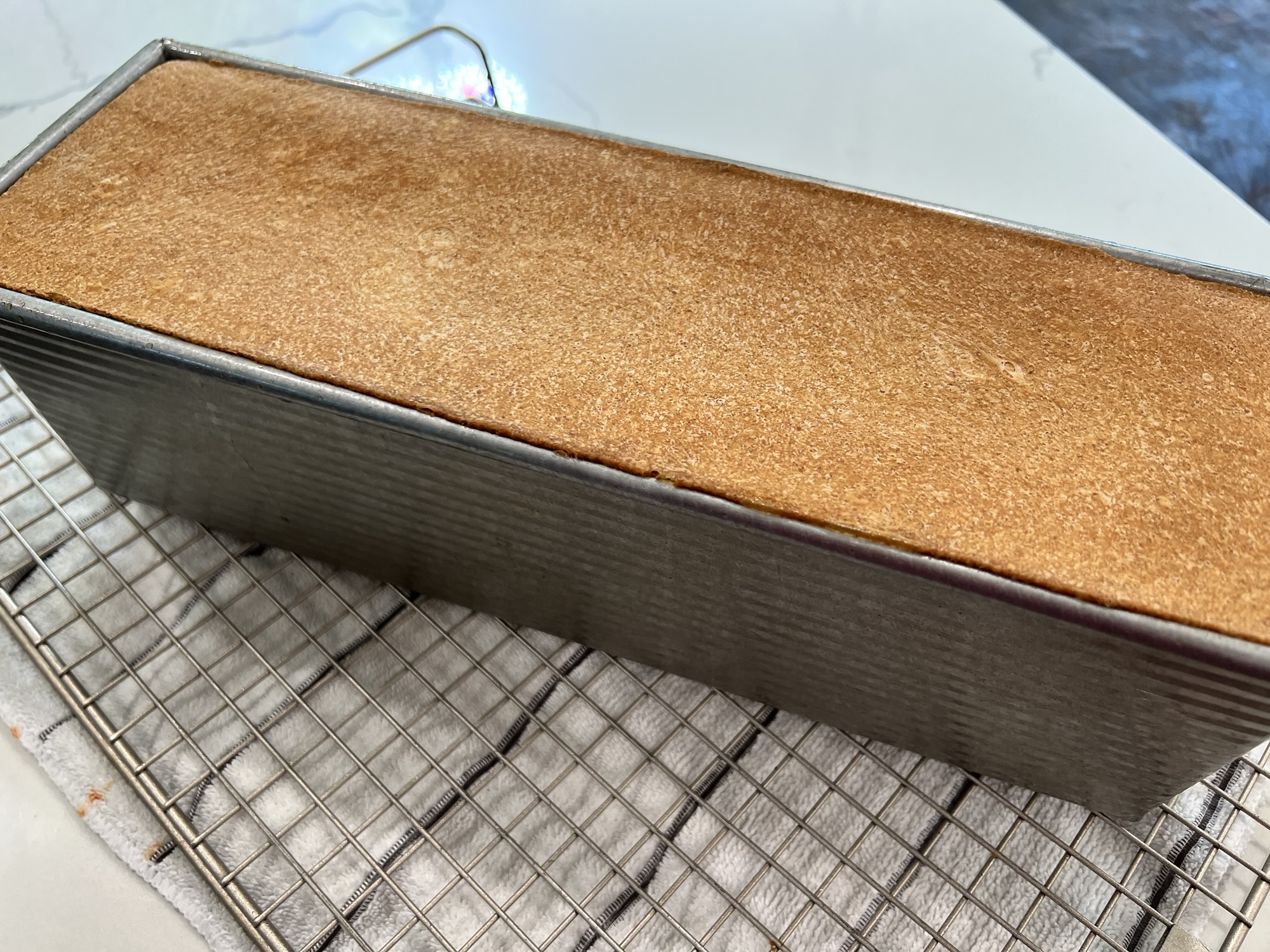 Whole Wheat Sandwich Bread