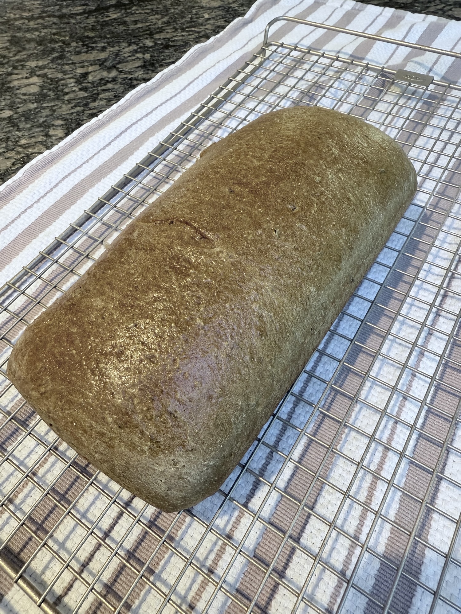 Easy Homemade Rye Bread